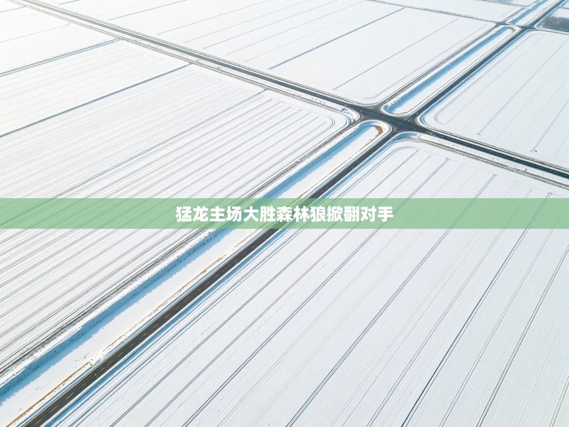 海星体育官方下载-猛龙主场大胜森林狼掀翻对手  第2张