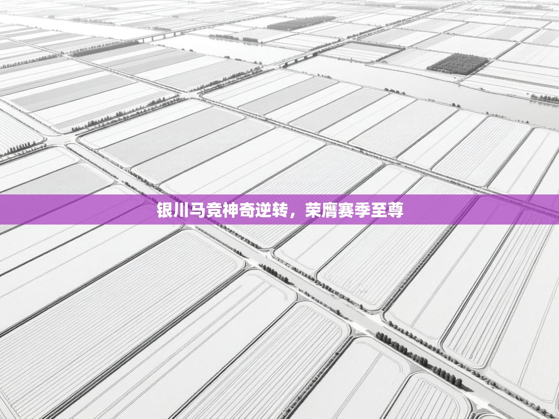 海星体育app-银川马竞神奇逆转，荣膺赛季至尊  第2张