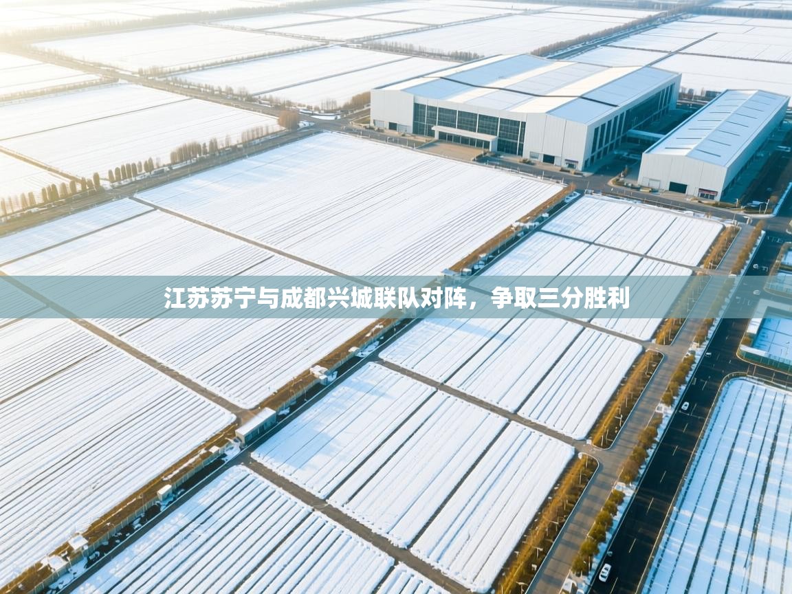 海星体育直播-江苏苏宁与成都兴城联队对阵，争取三分胜利  第2张