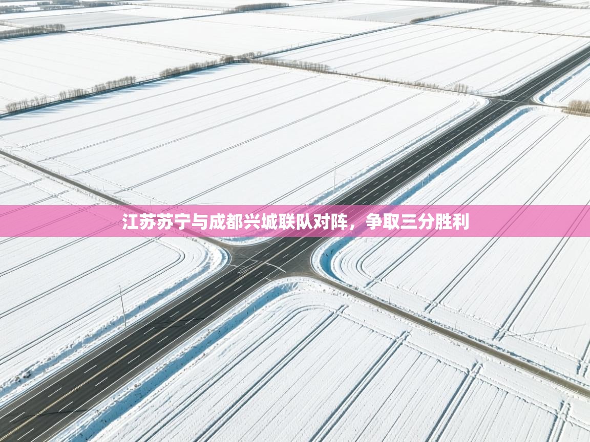 海星体育直播-江苏苏宁与成都兴城联队对阵，争取三分胜利  第1张