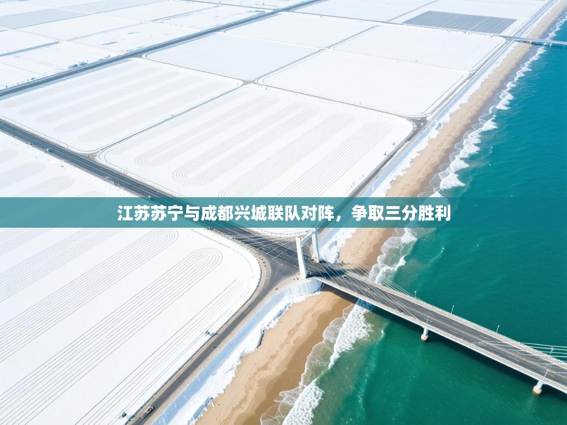 海星体育直播-江苏苏宁与成都兴城联队对阵，争取三分胜利  第3张