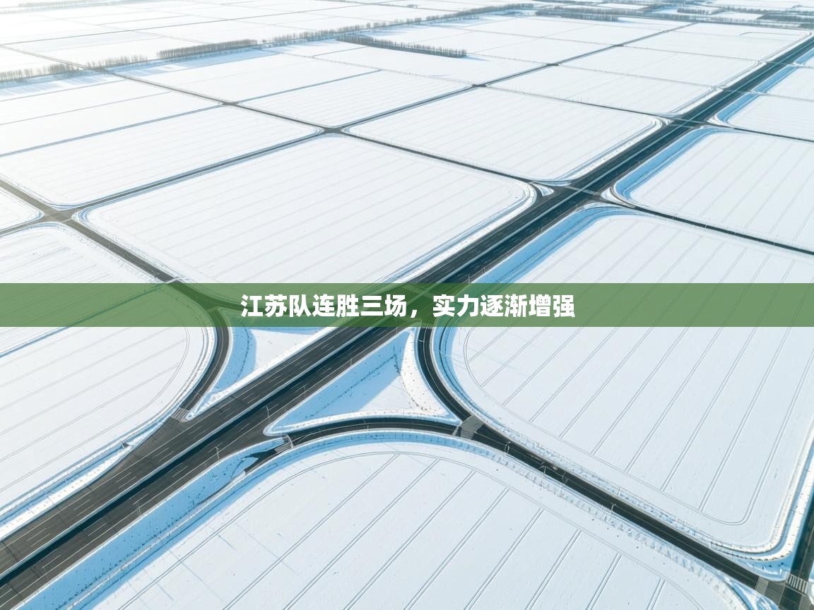 海星体育app-江苏队连胜三场，实力逐渐增强  第2张