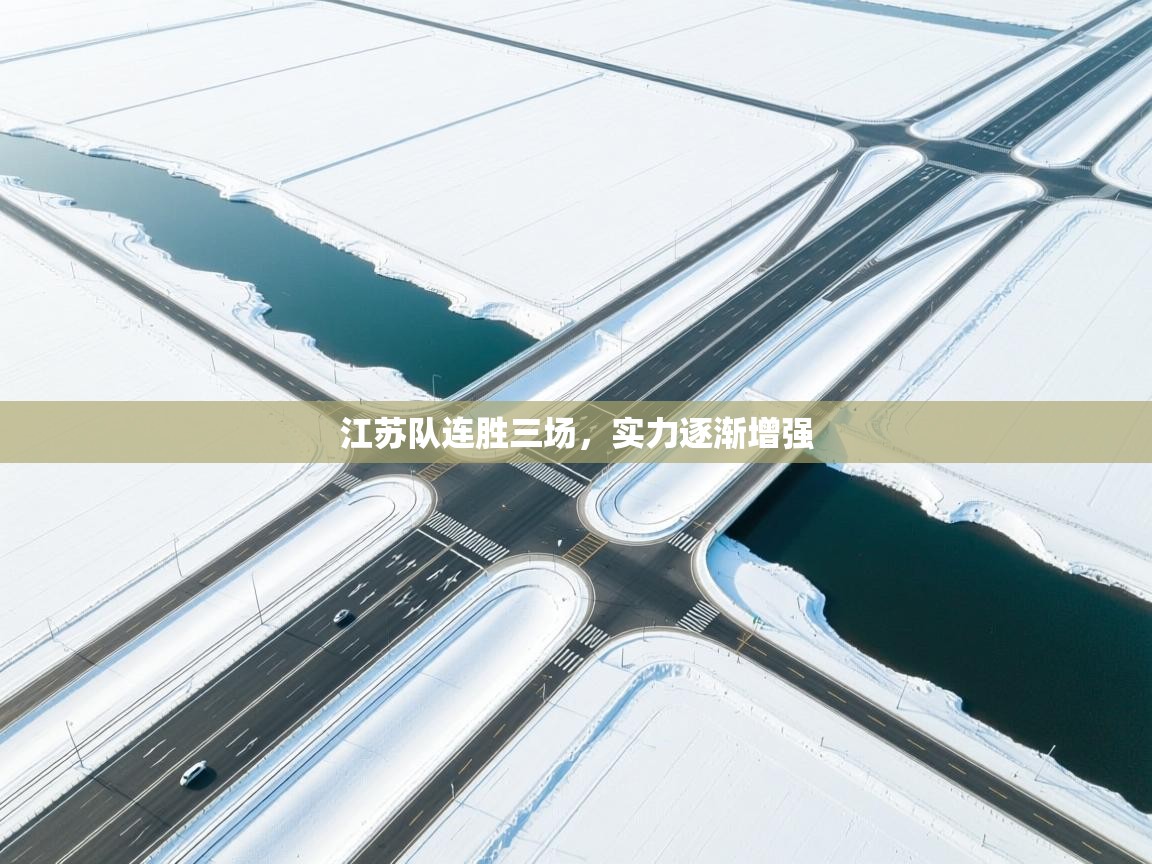 海星体育app-江苏队连胜三场，实力逐渐增强  第4张