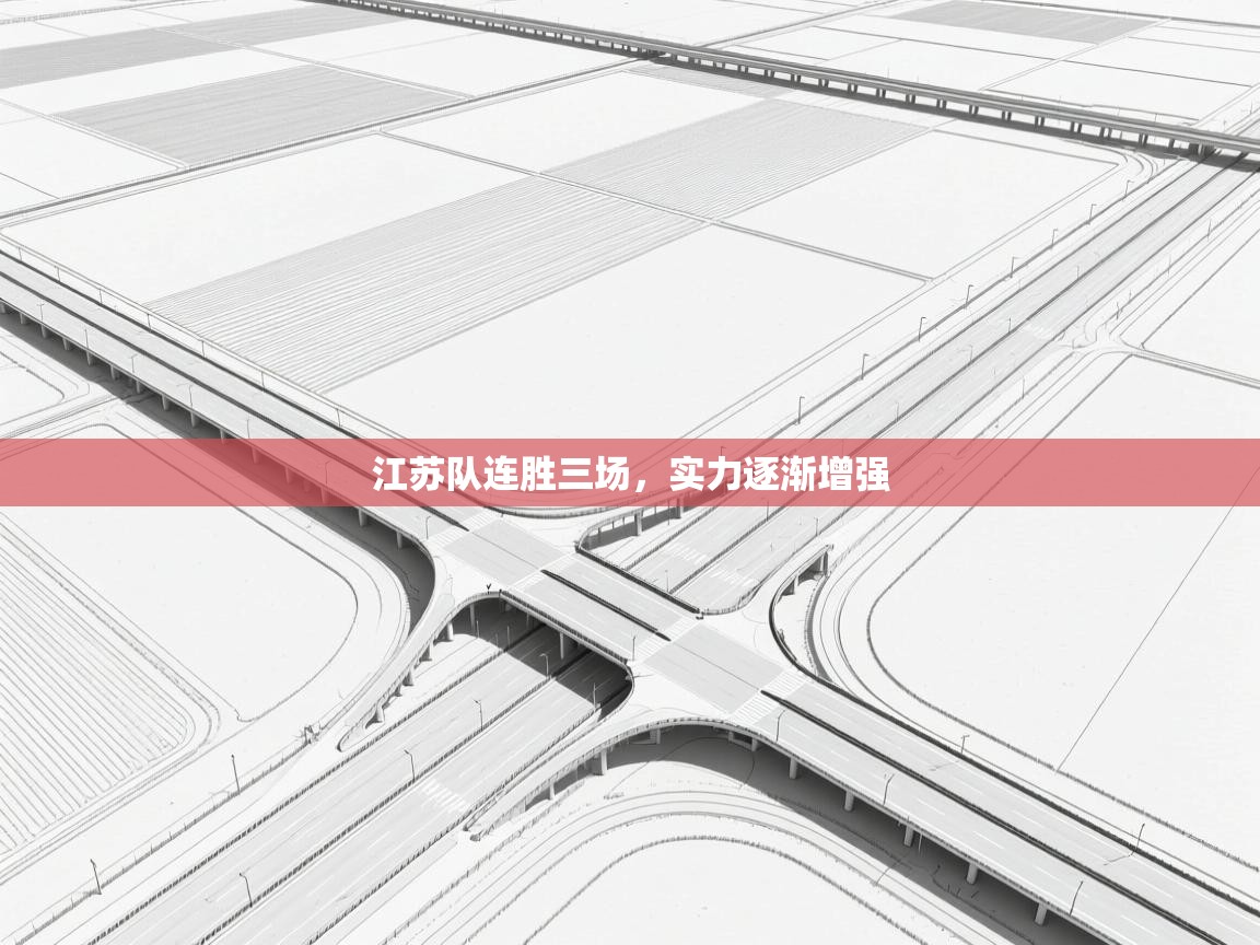 海星体育app-江苏队连胜三场，实力逐渐增强  第3张