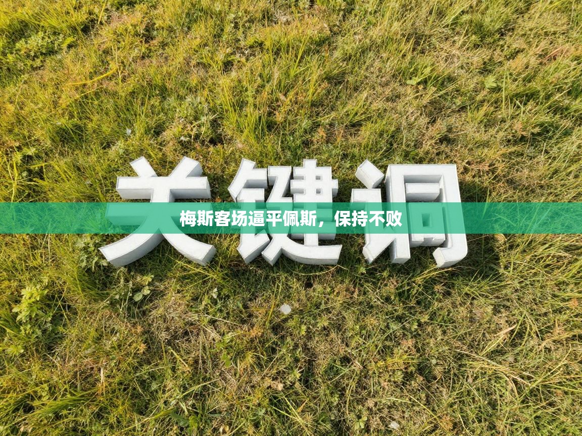 海星体育官方网站-梅斯客场逼平佩斯，保持不败  第1张