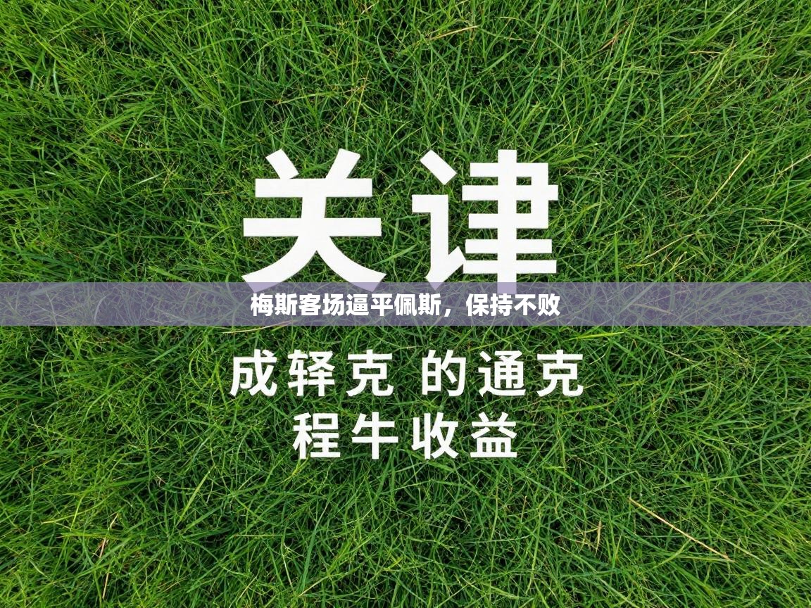 海星体育官方网站-梅斯客场逼平佩斯，保持不败  第3张