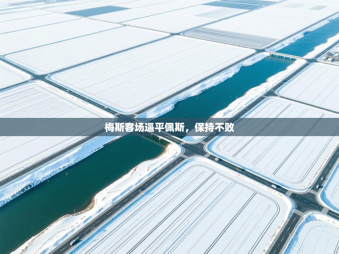 海星体育官方网站-梅斯客场逼平佩斯，保持不败  第2张